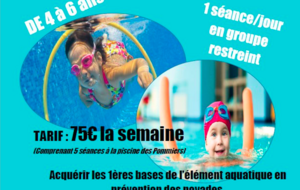 STAGE de FAMILIARISATION pendant la Toussaint.