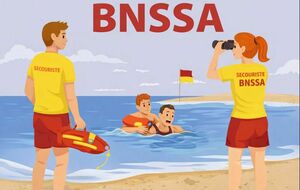 FORMATION BNSSA