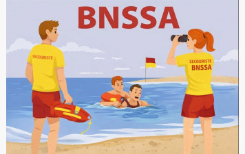 FORMATION BNSSA